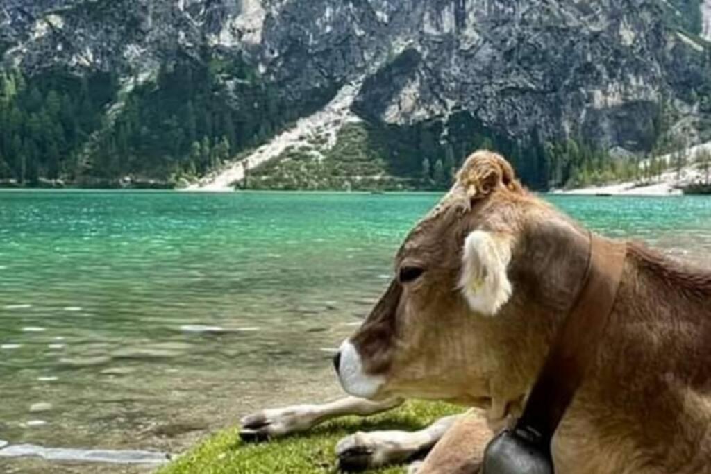 Relax Al Lago Di Braies Braies  Exterior photo